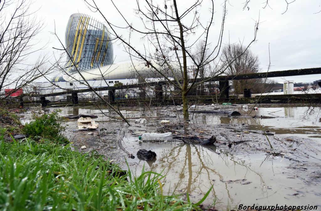 Il a beaucoup plu en ce début de février et avec un coefficient de marée de 103, les conditions étaient optimales pour que la Garonne déborde à Bordeaux.