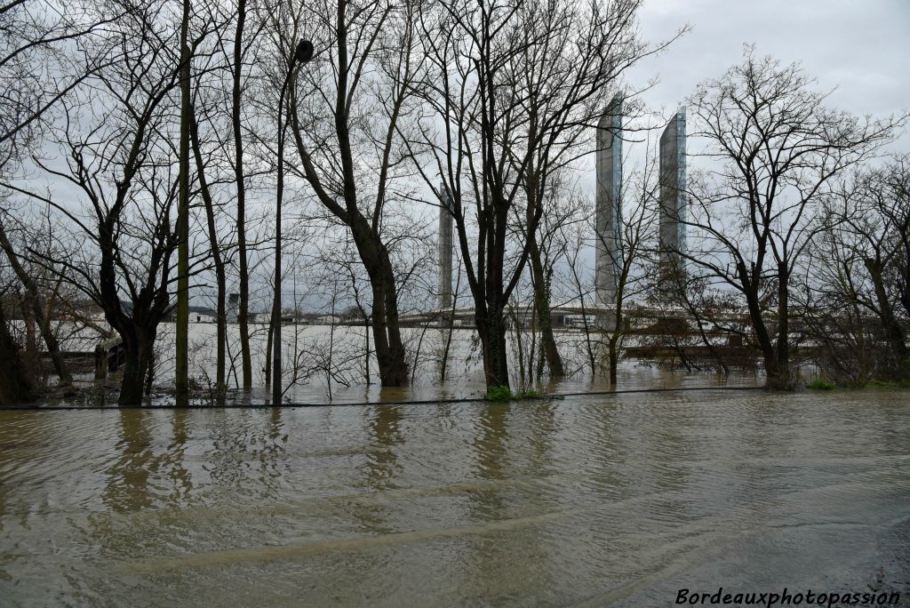 Un véritable lac devant les bureaux.