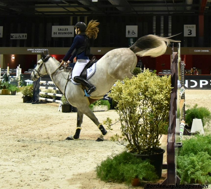 Festival de queues de cheval !