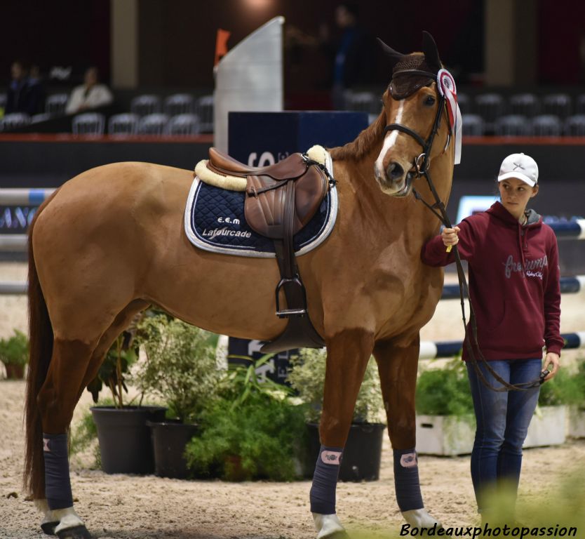 Les cavaliers ne sont pas seuls pour s'occuper de leur cheval... surtout au moment de la remise des prix.