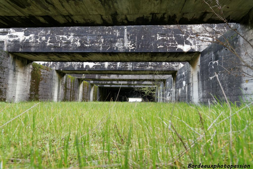 Depuis la fin de la Seconde Guerre mondiale, la nature a occupé l'espace.