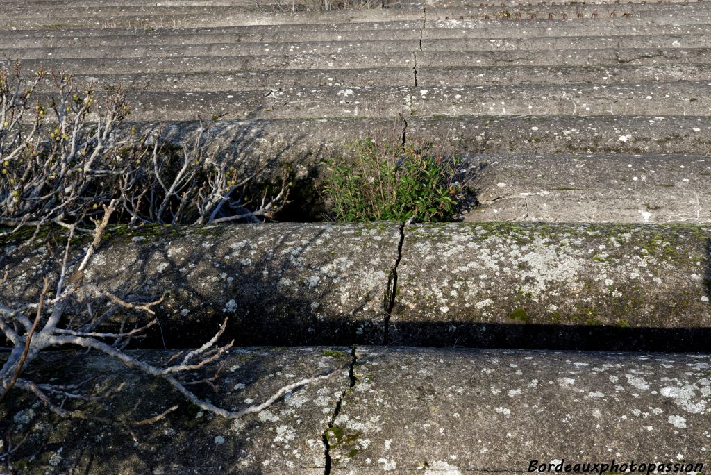 Il est temps de redescendre car une fissure vient de se former !