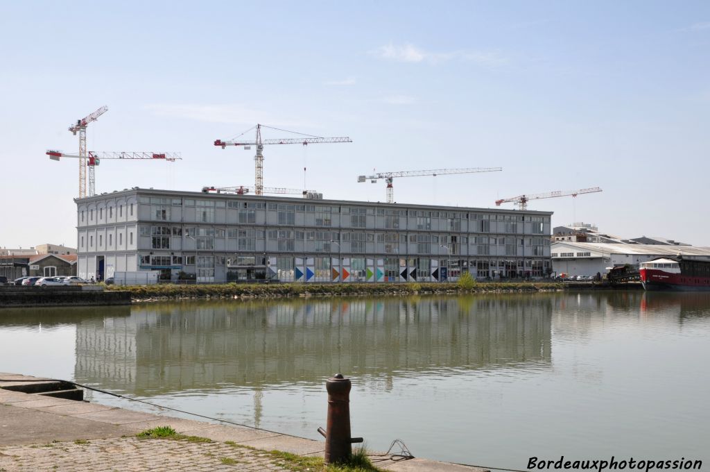 De l'autre côté du bassin, un ballet de grues nous invite à faire les curieux.