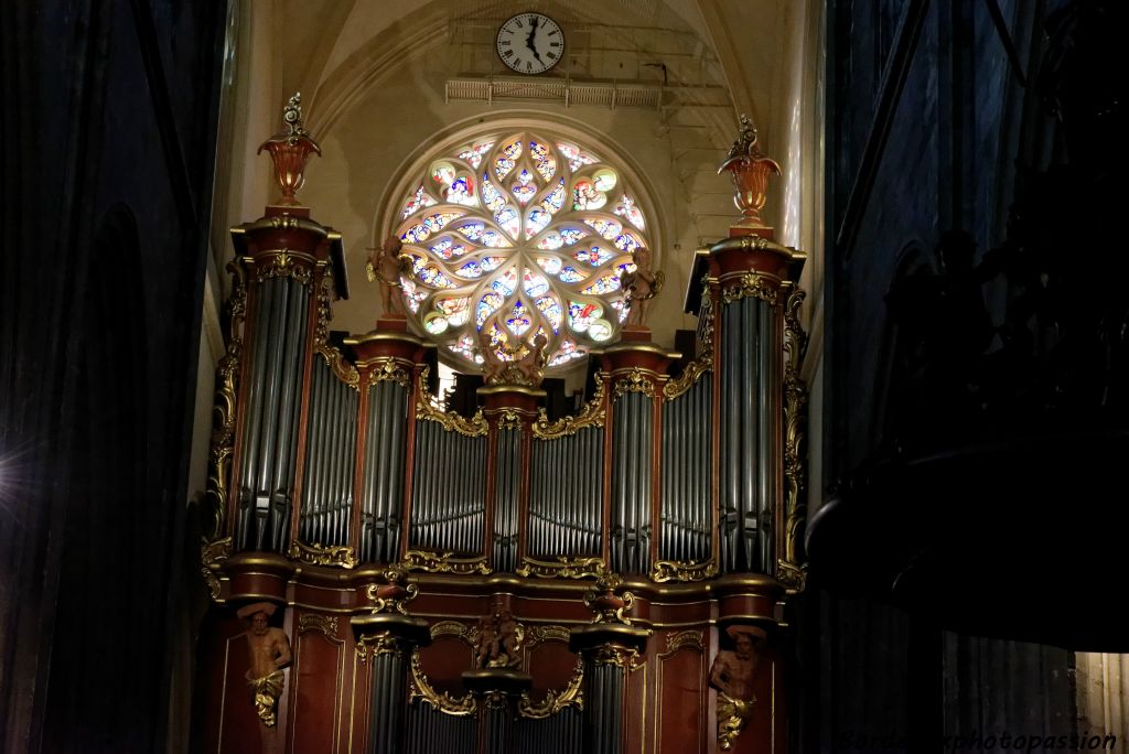 Le grand orgue est construit sous la rosace des quatre évangélistes.