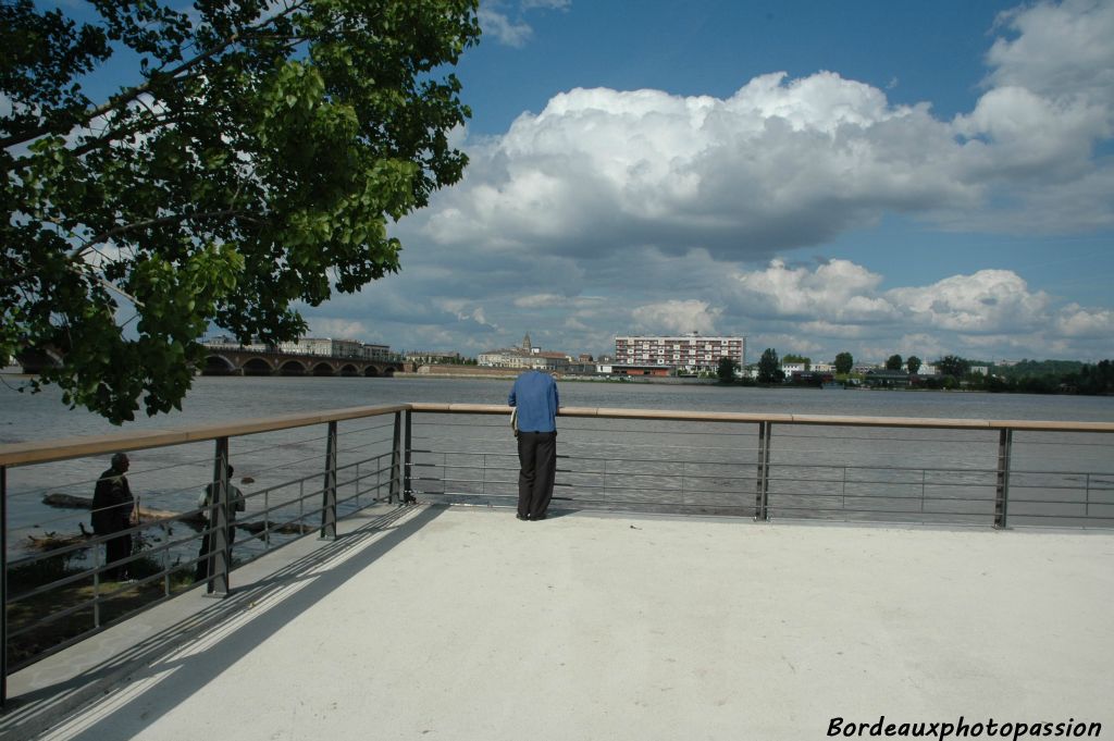 Tout est fait pour que le piéton soit près du fleuve dont il a été si longuement privé. Le garde-corps est très proche de l'eau. Spectacle a en perdre la tête.