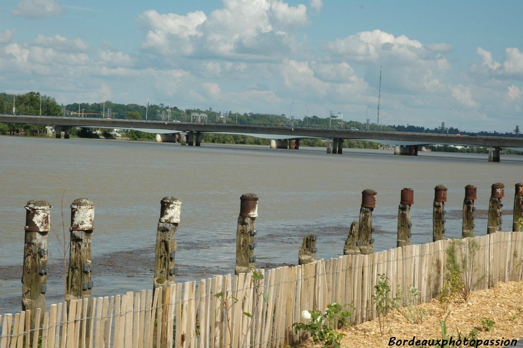 À l'arrière-plan c'est le pont Saint-Jean qui cache le tout nouveau pont ferroviaire Garonne qui remplace la passerelle Eiffel.