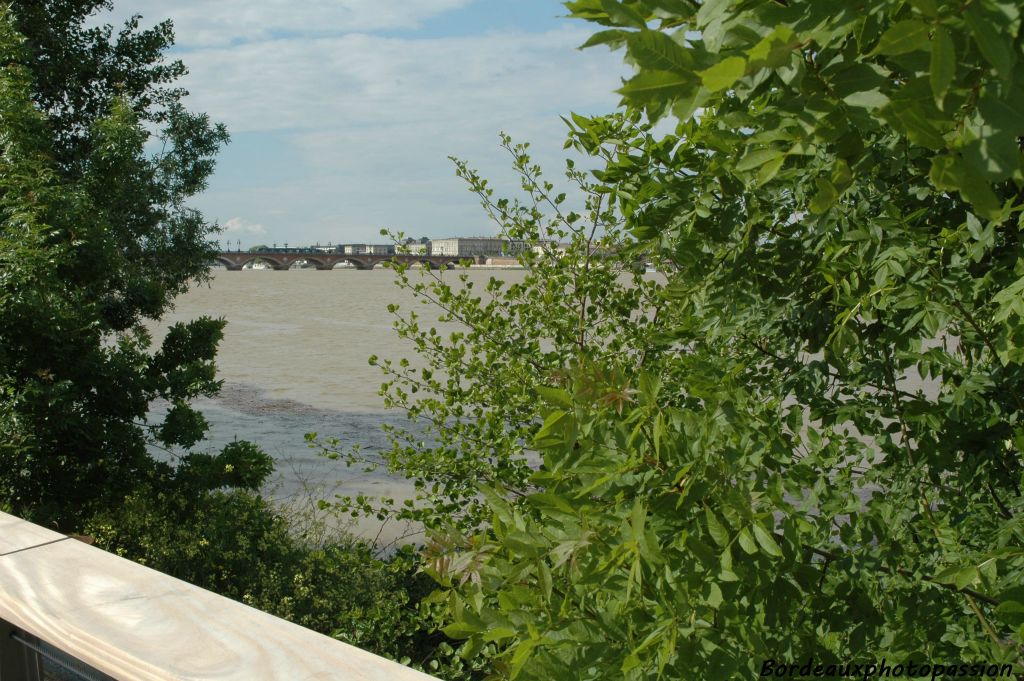 Les berges sont souvent pourvues de végétation naturelle à travers laquelle la rive droite semble de plus en plus proche.