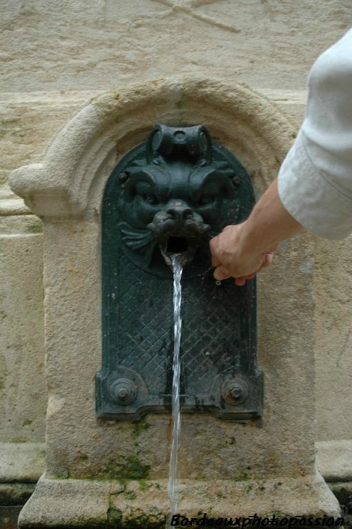 Une fontaine qu'il ne faut pas oublier ! Si par hasard un jour vous avez soif, appuyez sur le bouton en forme de fleur !