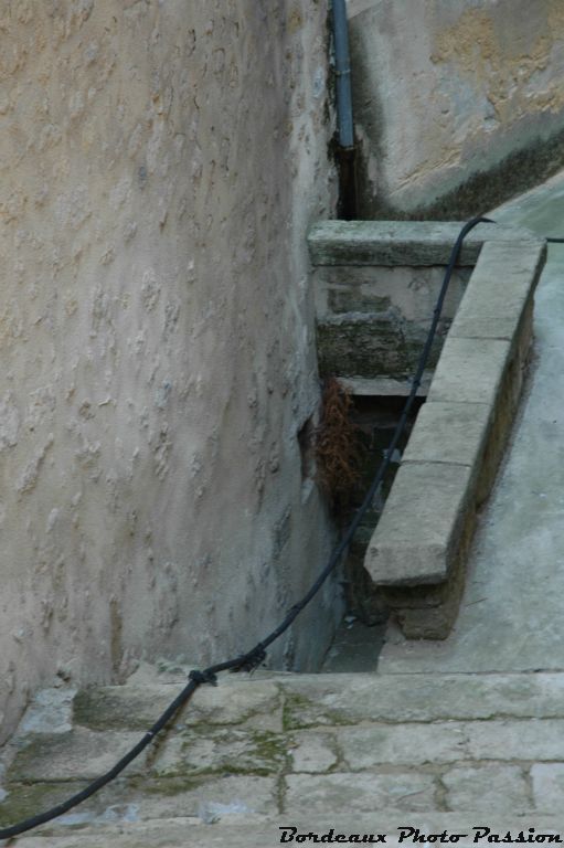 Par cet escalier, on peut accéder à une fontaine située une dizaine de mètres en contrebas du Cours Victor Hugo.