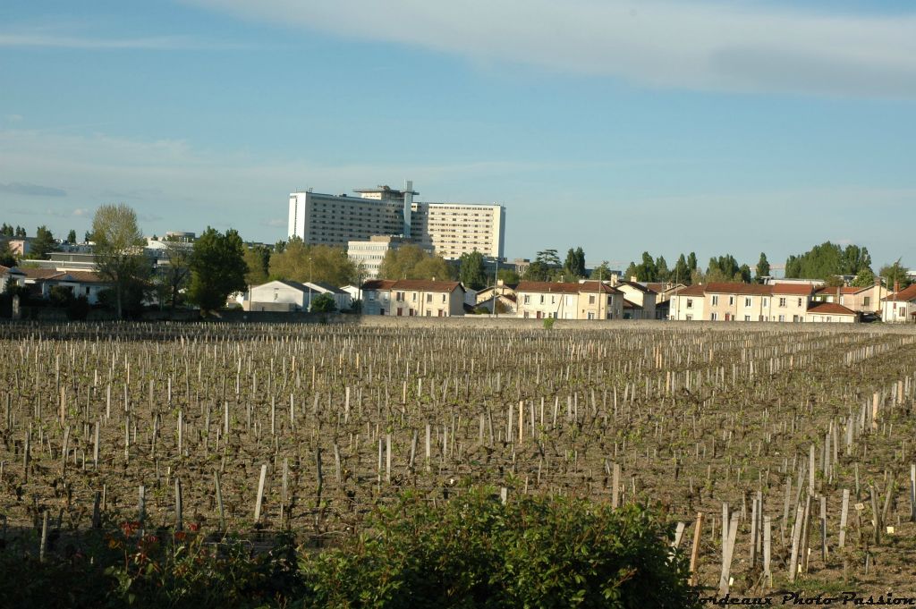 L'hôpital est situé dans le quartier de Saint-Augustin. La vigne du château Carmes-Haut-Brion y est très proche.