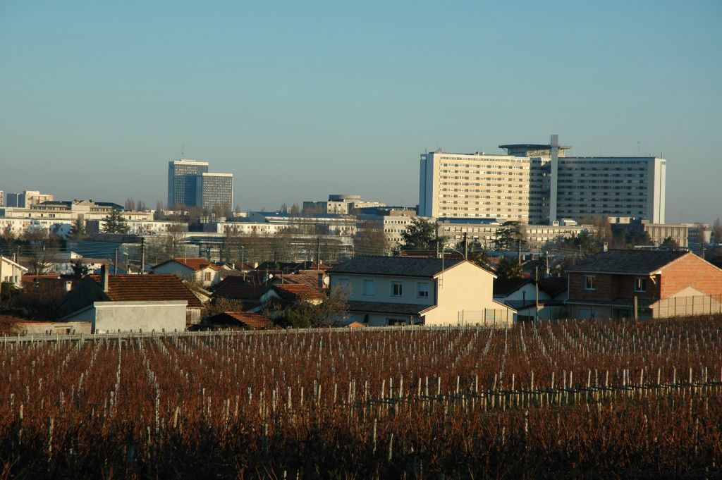 Le vignoble du célèbre château Haut-Brion a été créé bien avant  l'implantation de l'hôpital.