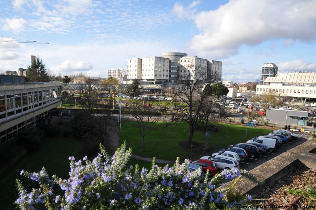 L'hôpital des enfants a été construit en 1992 dans l'enceinte  du centre hospitalier Pellegrin.