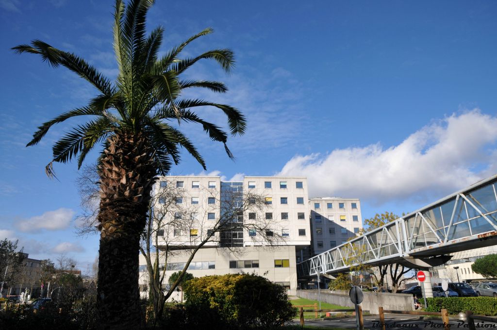 L'hôpital est très accueillant...