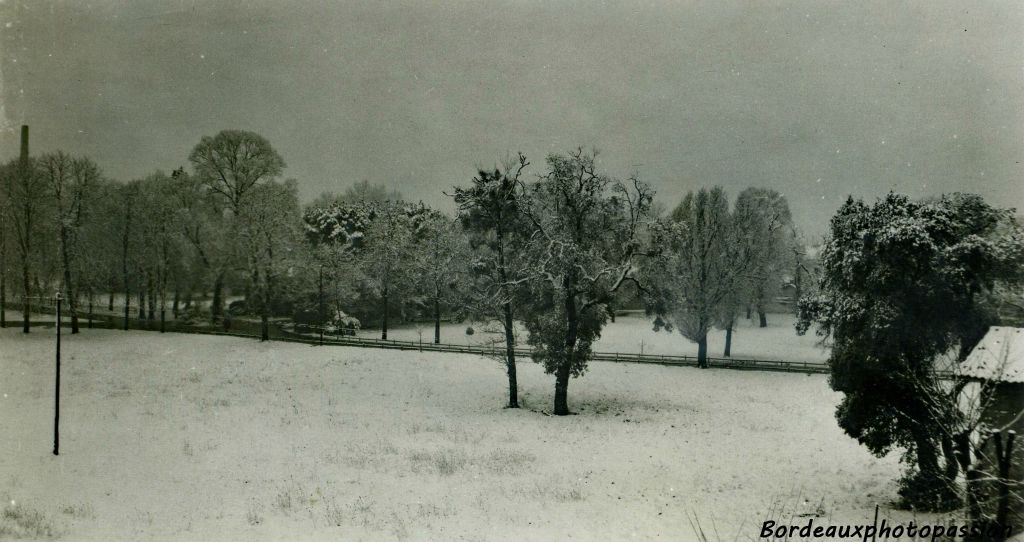 Le domaine de Pellegrin avait un parc immense. (Photo Marie-France Sabatié)