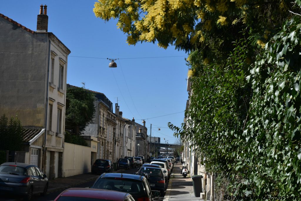 L'autre extrémité donne dans l'avenue du parc de Lescure après avoir croisé la rue Vercingétorix.