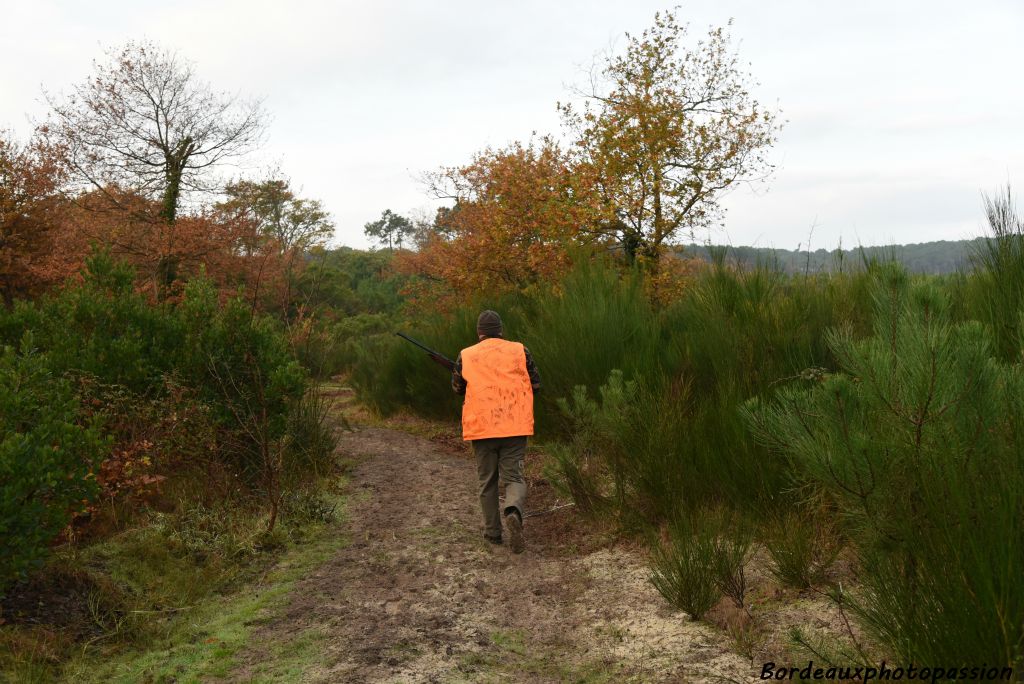 Le chasseur doit se déplacer en fonction de la traque des chiens.