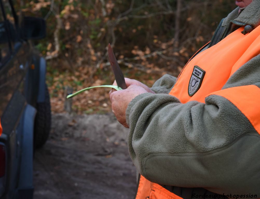 Le garde-chasse assermenté va poser le "collier" obligatoire.