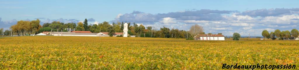 La tour blanche du château la Tour l'Aspic se détache au milieu du vignoble.