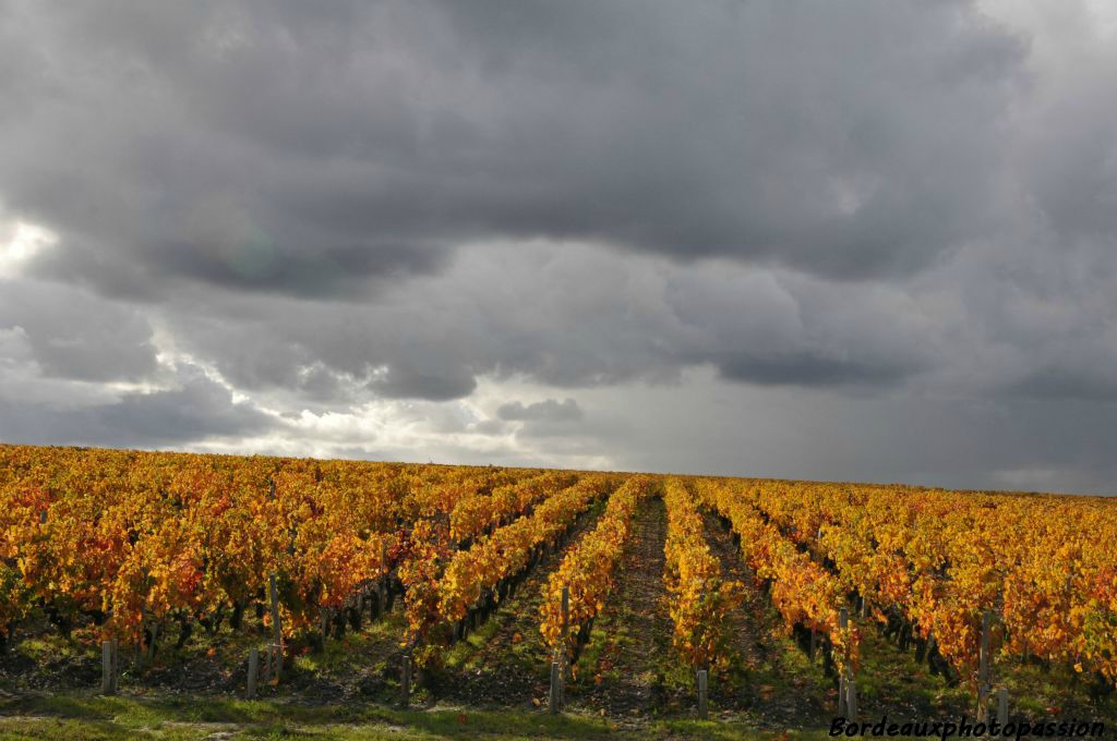 Ciel d'orage.