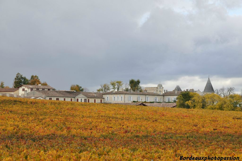 Le très célèbre château Lafite-Rothschild noyé dans ses vignes.