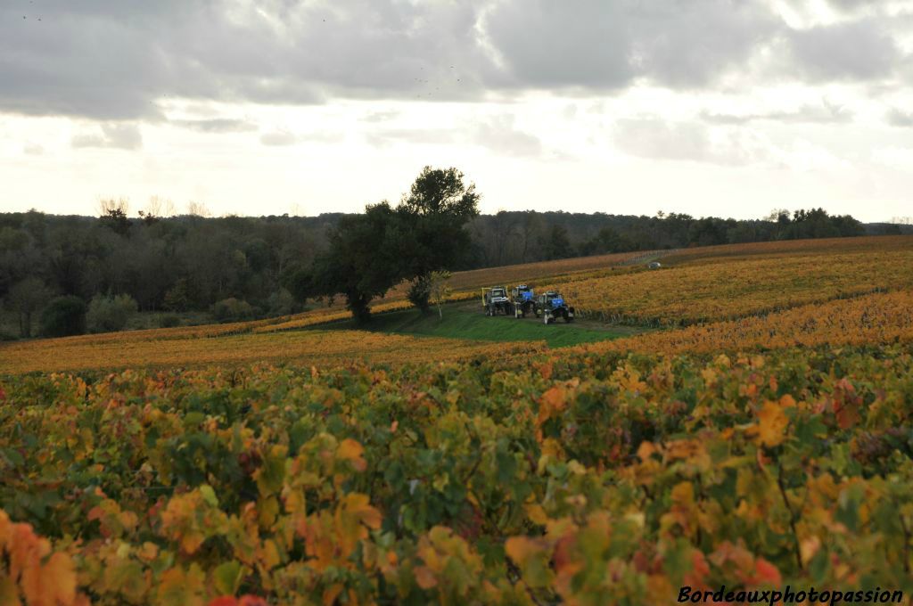 Travaux d'automne.