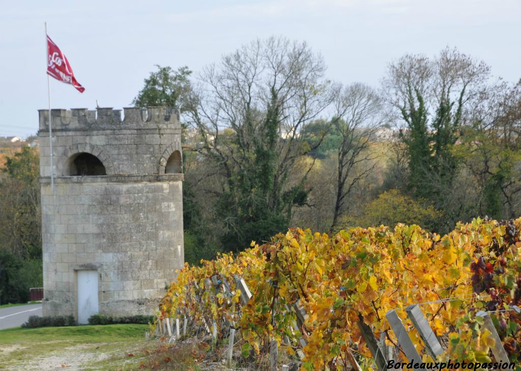 Une tour en face du château Cos d'Estournel.