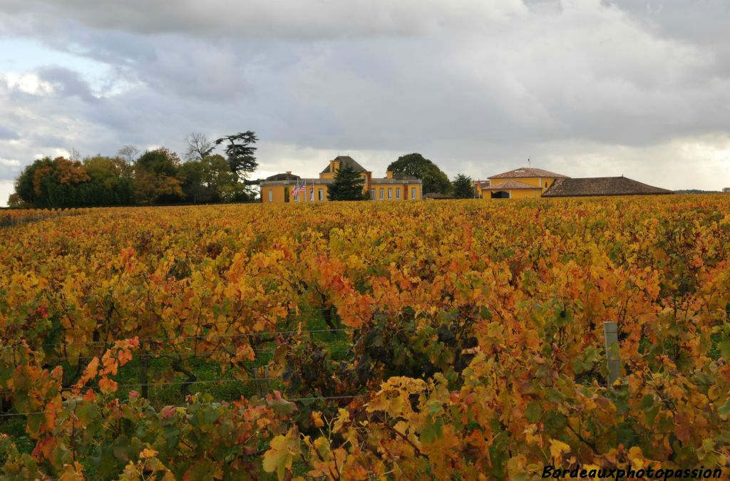 Certainement jaloux de ses vignes à l'automne, le château Lafon-Rochet s'est lui aussi paré de jaune.