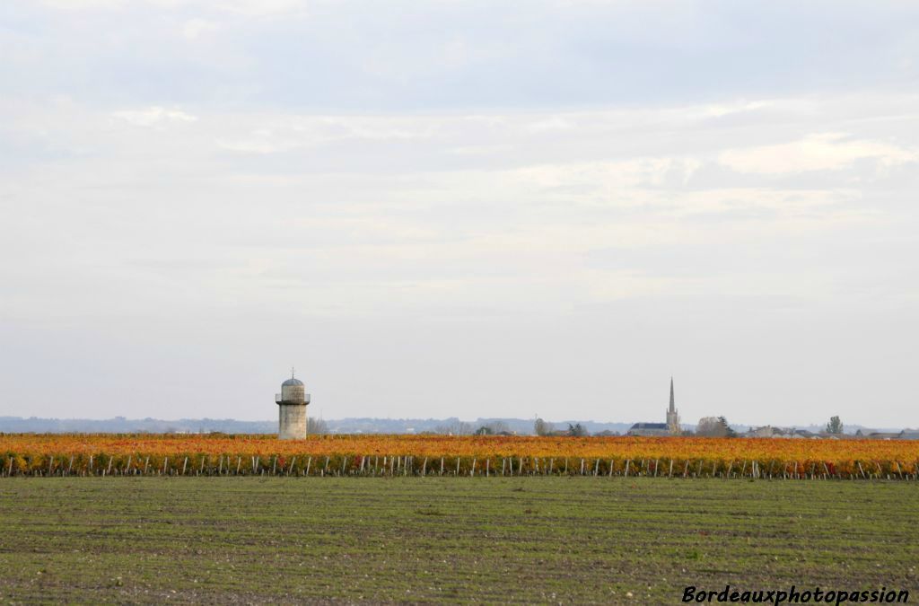 Deux édifices dans le vignoble.