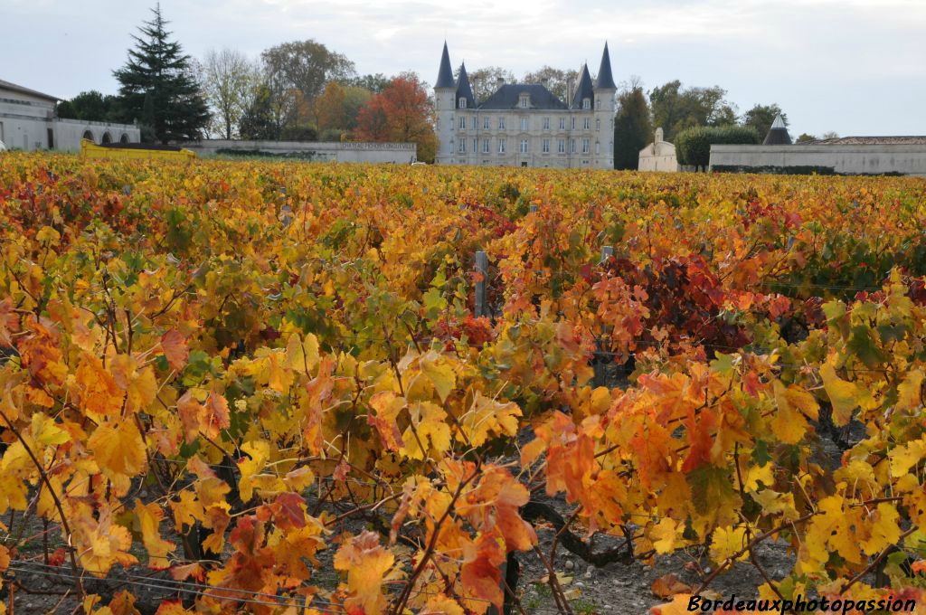 Le château Pichon-Longueville.