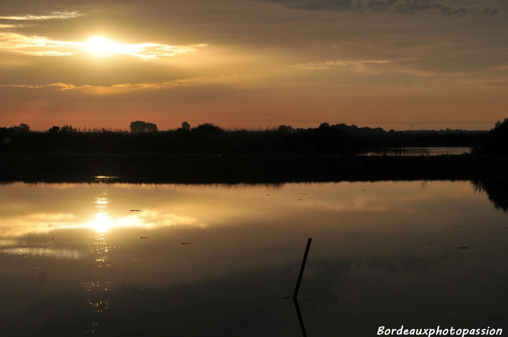 A la fin du mois de septembre, sur le marais du nord Médoc à Saint-Vivien du Médoc, j'ai assisté à un coucher de soleil merveilleux.