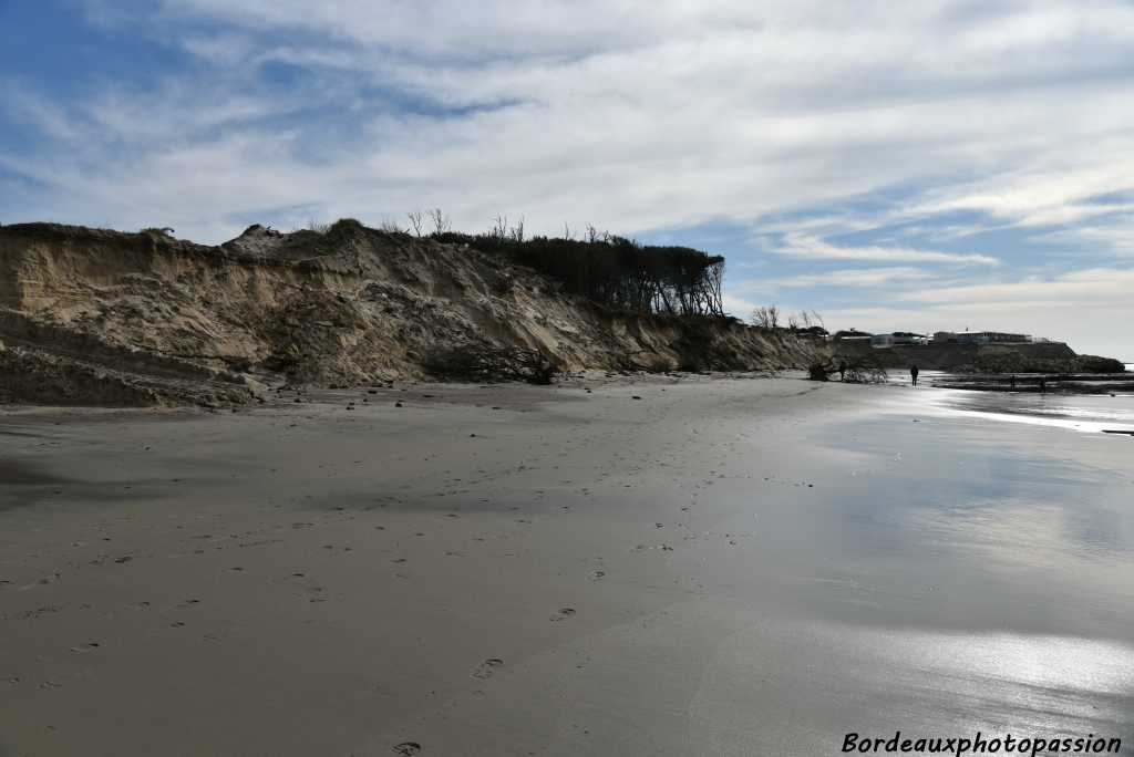 C'est sur cette partie de côte qu'il y a eu le plus d'érosion de dune.