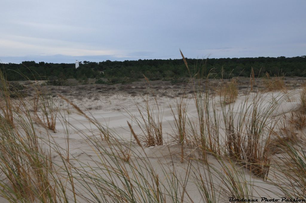 Depuis, c'est un ensablement permanent qui oblige les baigneurs à marcher de plus en plus pour rejoindre la plage océane du Verdon.