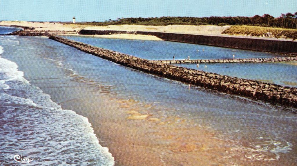 Les baigneurs y trouvaient une certaine sécurité. Au loin, le phare de Grave.