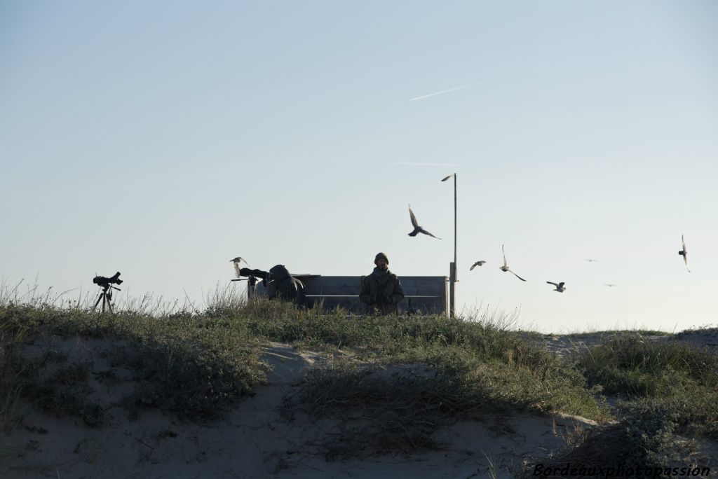 Quand le vent est nord-est, il ne réchauffe pas les "spotters" de la Ligue de Protection des Oiseaux d'Aquitaine, mais c'est un vent favorable à la migration.