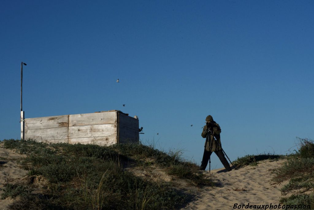 Derrière sa longue-vue, Guillaume vérifie si le vol va bien franchir l'estuaire.