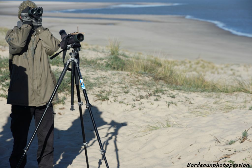 Les jumelles servent à repérer les oiseaux en vol, la longue-vue pour confirmer les espèces souvent lointaines qui passent près du phare de Cordouan ou sur la Gironde.