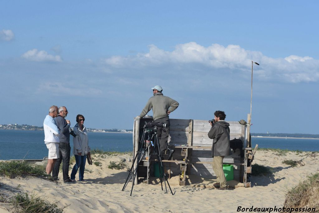 Le rôle des observateurs est aussi d'informer le public qui vient poser de nombreuses questions sur leur travail et sur les oiseaux.