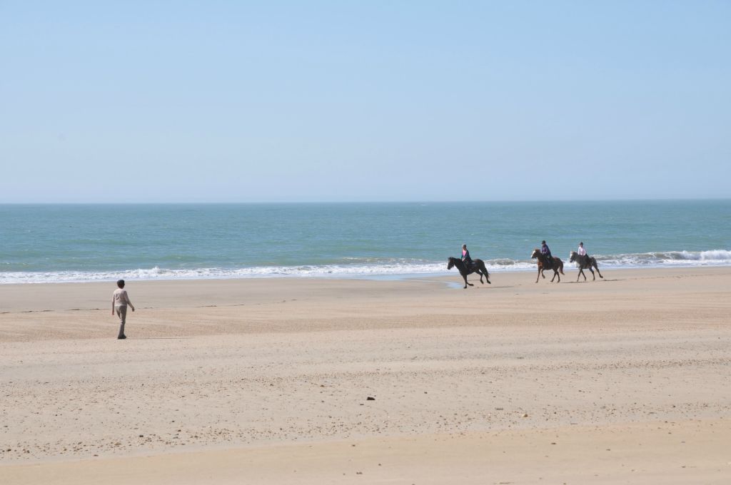 Il fait bon se balader à pied, à cheval !