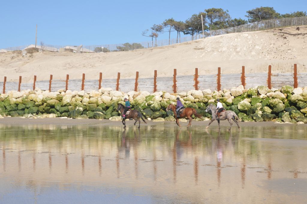 Les chevaux ont fait demi-tour...