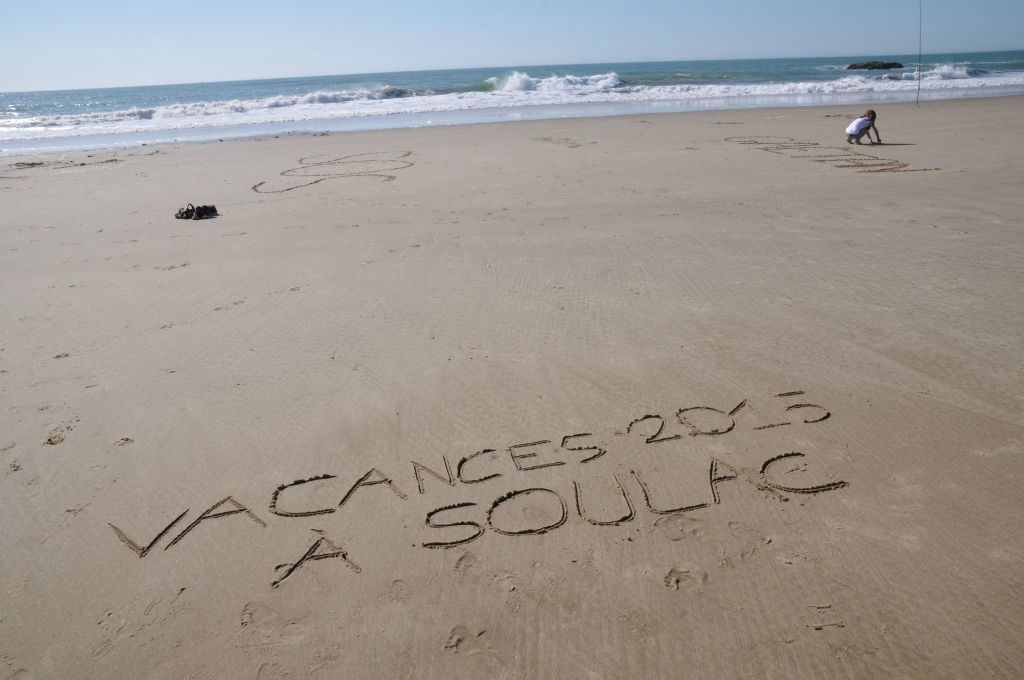 Une demoiselle a laissé sa trace sur le sable.