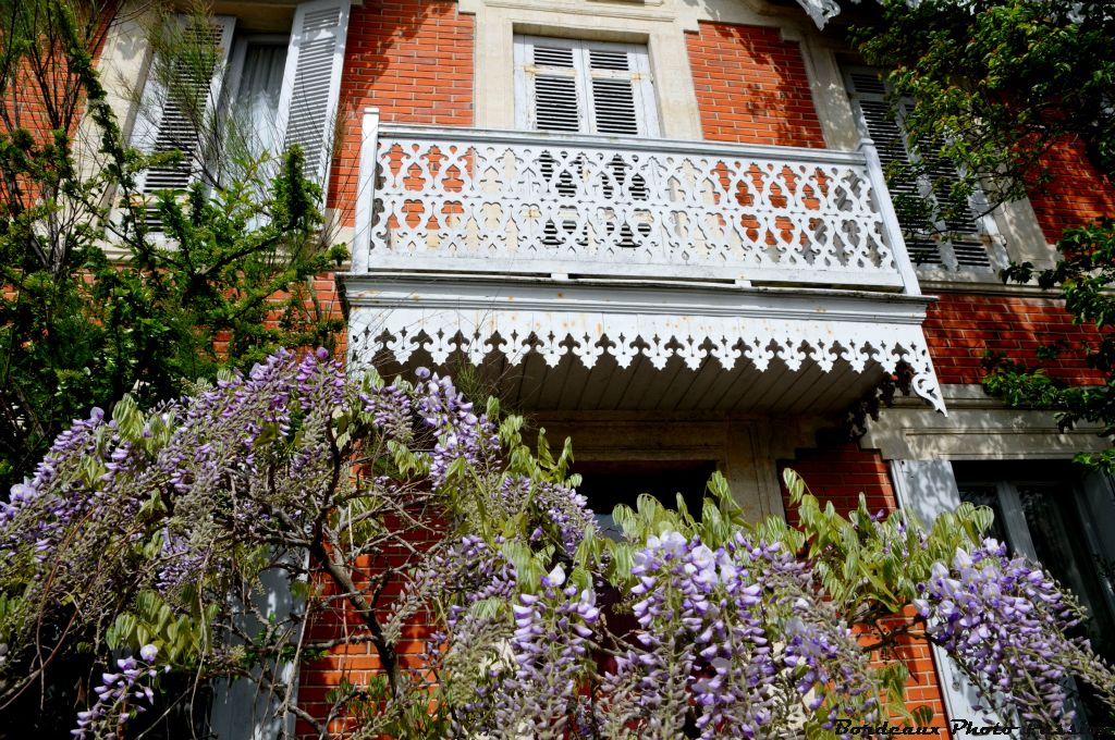 De loin la plus odorante, la glycine s'étale devant des maisons souvent anciennes.