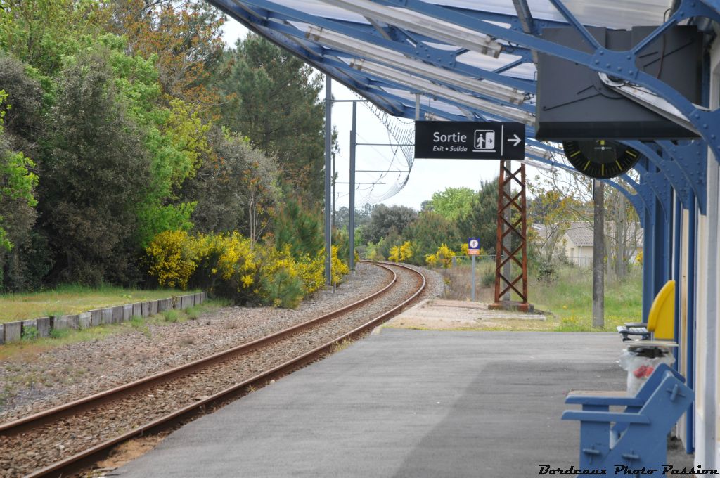 Dans quelle autre gare en France, le voyageur est-il accueilli avec des gerbes de fleurs jaunes ?