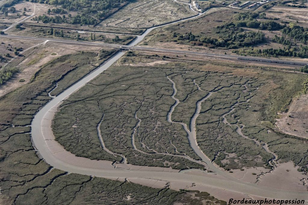 À marée basse, la nature dévoile ses talents d'artiste.