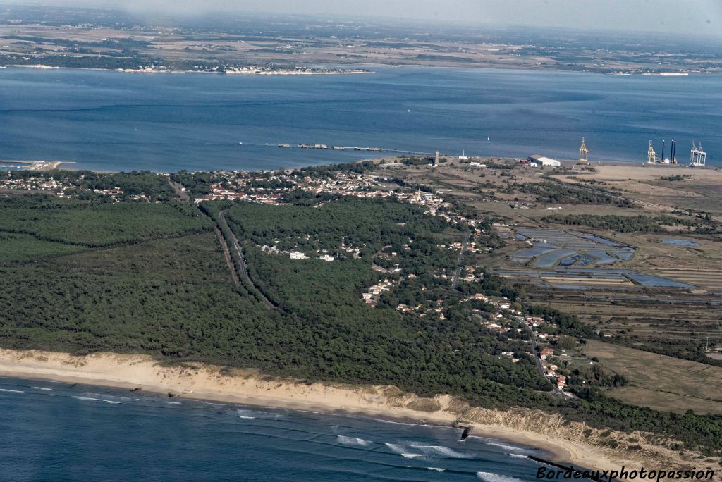 La forêt domaniale de la pointe de Grave est un véritable poumon vert.