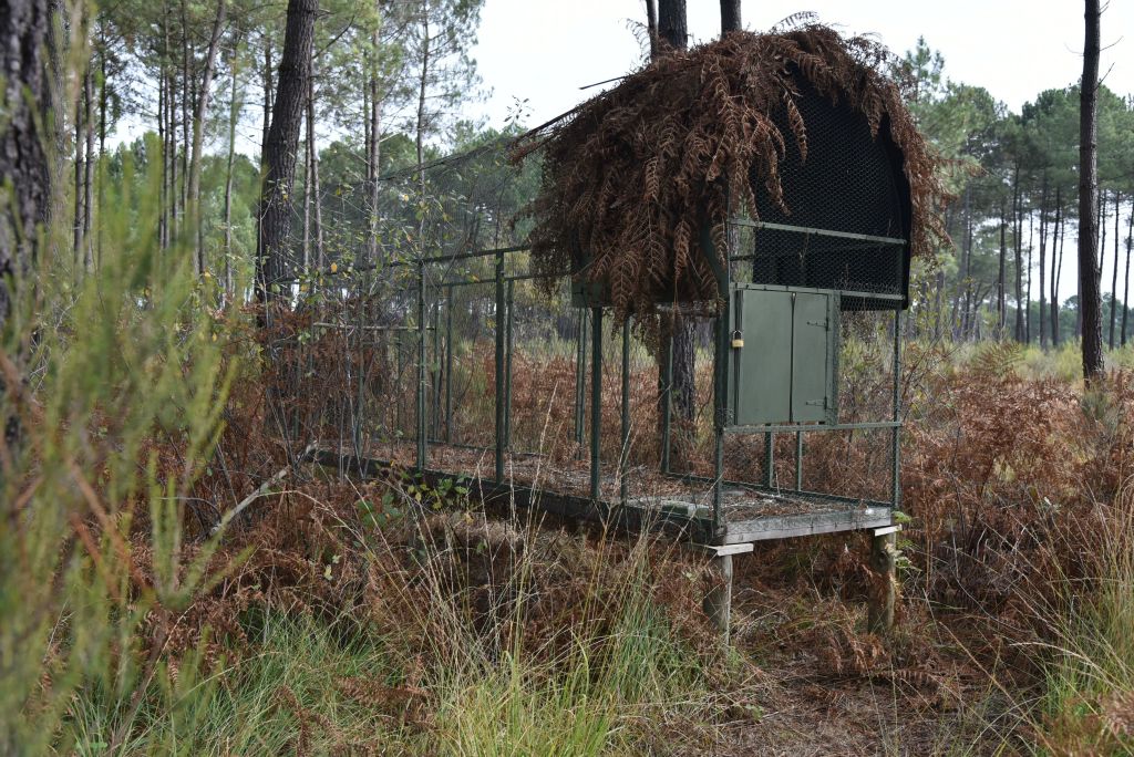 Tout près de chaque aire, une cage...