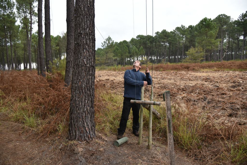 À la fin de la journée, le chasseur doit descendre la douzaine d'appeaux. Ce qui lui fera une petite heure de labeur.