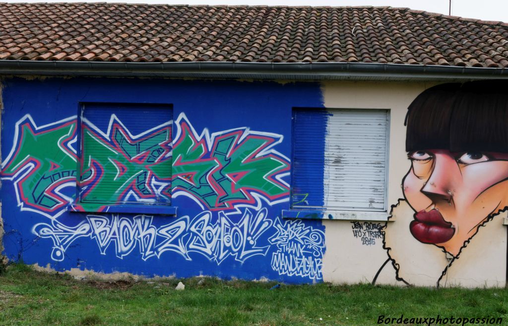 Ce projet est un travail de mémoire commandé par AQPRIM et orchestré par Manu Faktur avec  le collectif 3GC. Ici un graff de Jean Rooble.