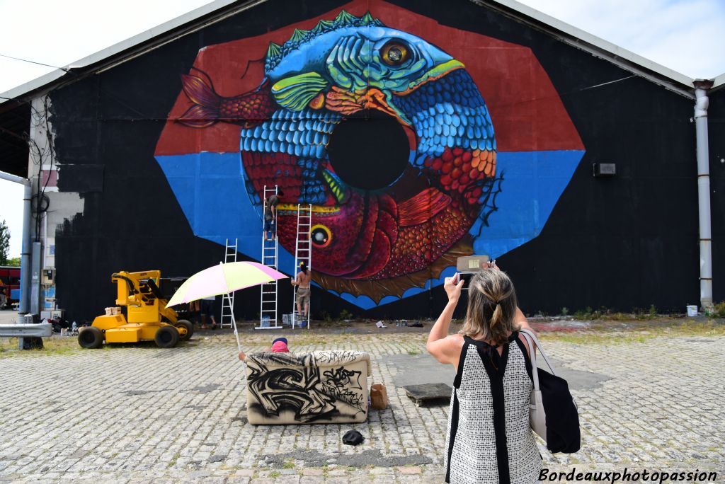 Tout proche du hangar 27, le hangar 29 a lui aussi été l'objet d'attention par les graffeurs.