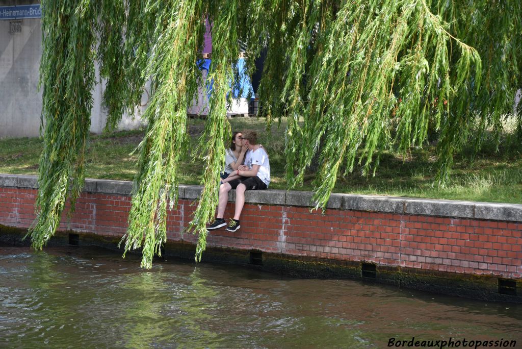 Bisou sous un saule pleureur.