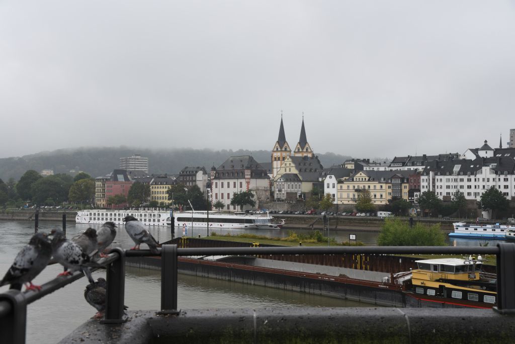 A Coblence, ce jour-là, le temps est gris, les toitures aussi et les pigeons de même !